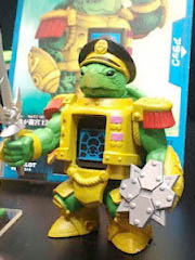 Admiral Turtle