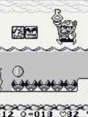 
Wario Land: Super Mario Land 3