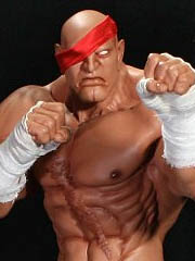 Sagat