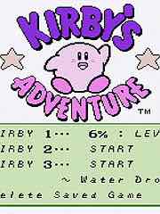 Kirby's Adventure