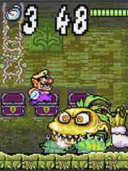 WarioLand 4