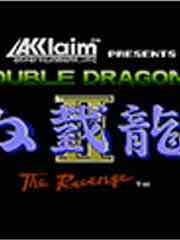 Double Dragon II: The Revenge