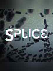 Splice