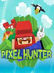   Pixel Hunter