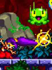 Shantae: Riskys Revenge  Directors Cut