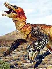 Featheraptor