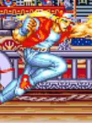 Fatal Fury Special