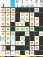 Picross S5