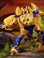 Cheetor