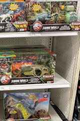 Colorful Lizards