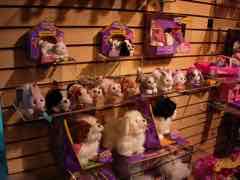 Toy Fair 2011 - Hasbro - Littlest Pet Shop, My Little Pony, Furreal Friends