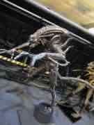 Toy Fair 2013 - NECA - ALIENS