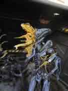 Toy Fair 2013 - NECA - ALIENS