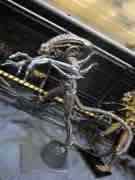 Toy Fair 2013 - NECA - ALIENS