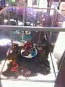 Toy Fair 2013 - Activision - Skylanders