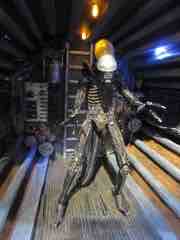 Toy Fair 2014 - NECA Alien and Aliens