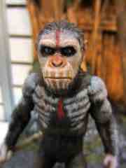 Toy Fair 2014 - NECA Planet of the Apes