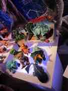 Toy Fair 2015 - Hasbro - Jurassic World